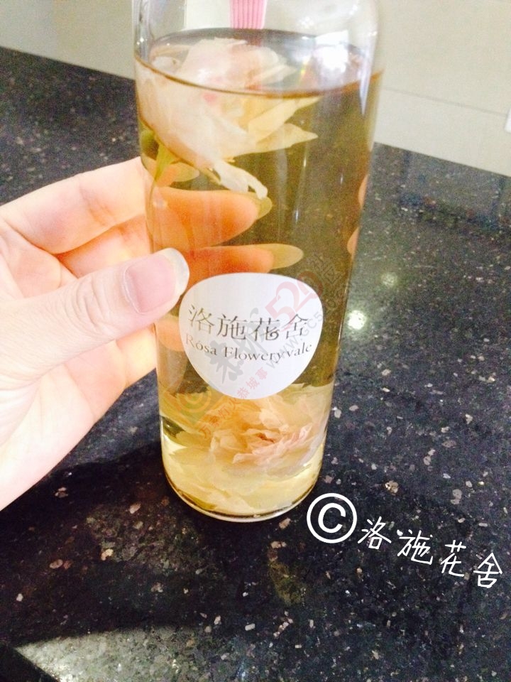 一朵水中绽放的玫瑰458 / 作者:花茶猴妈 / 帖子ID:172549