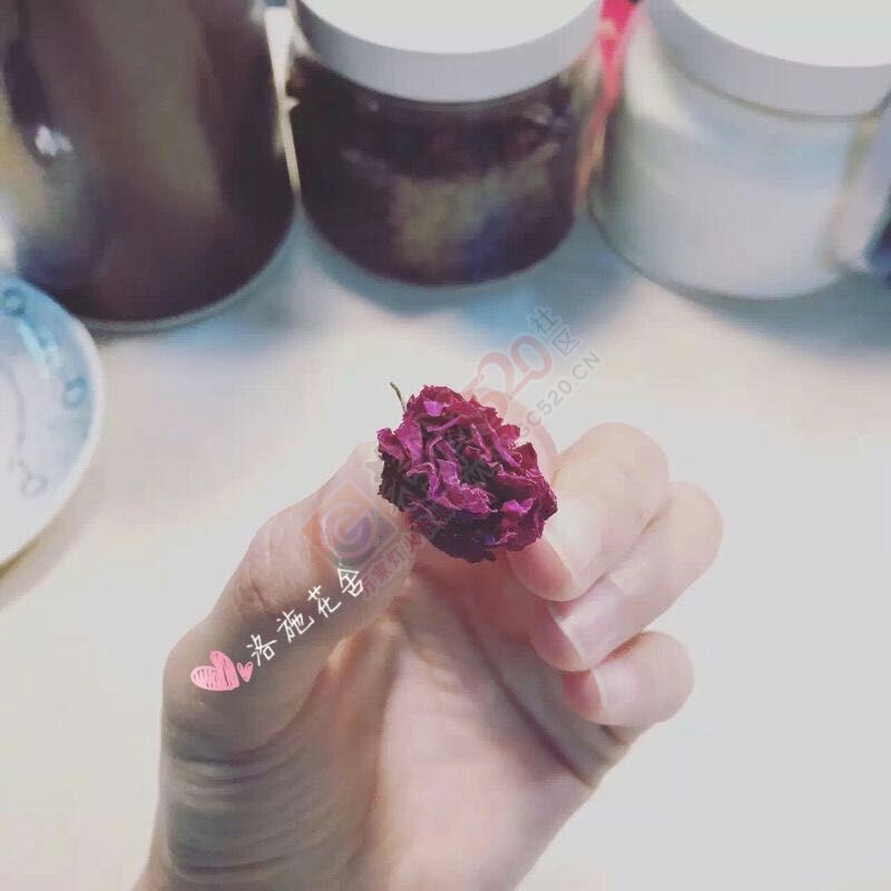 一朵水中绽放的玫瑰907 / 作者:花茶猴妈 / 帖子ID:172549