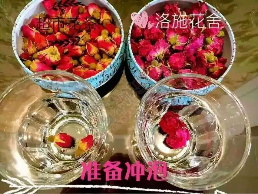 一朵水中绽放的玫瑰803 / 作者:花茶猴妈 / 帖子ID:172549