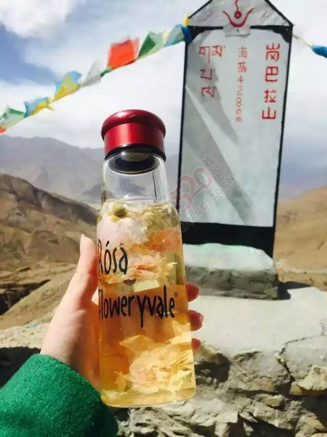 一朵水中绽放的玫瑰630 / 作者:花茶猴妈 / 帖子ID:172549