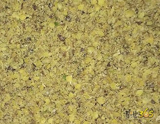 纯中药治疗骨病，骨病的克星36 / 作者:黄哥佬 / 帖子ID:172567