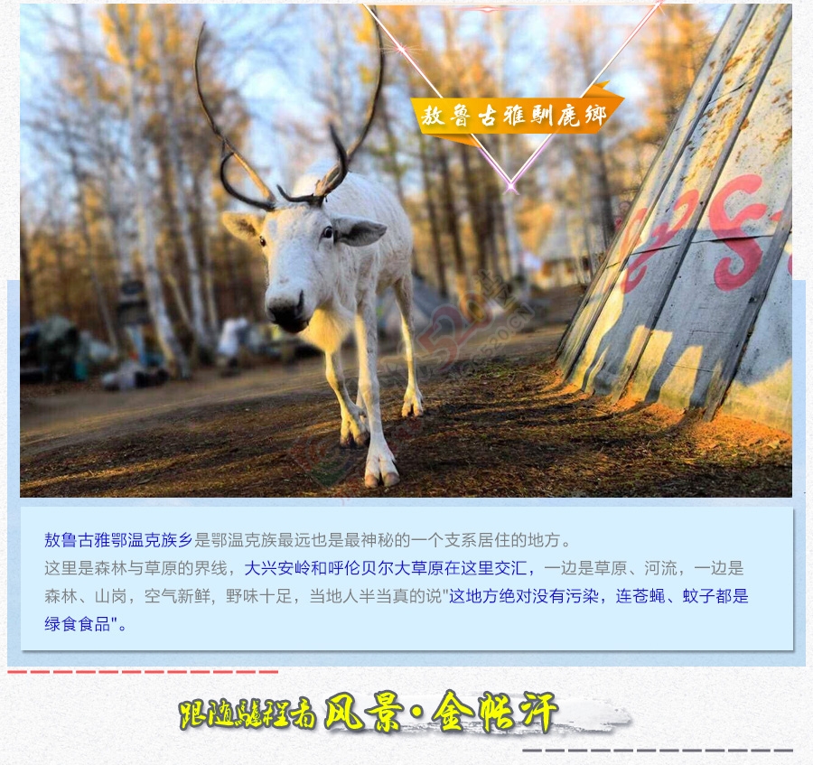 【顶级力作】2016深入呼伦贝尔草原、敖鲁古雅驯鹿部落、室韦骑马拉练875 / 作者:探索旅行小强 / 帖子ID:172701