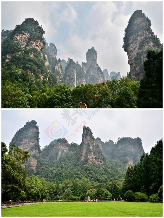 完美的张家界自助之旅496 / 作者:杨阳2016 / 帖子ID:172845
