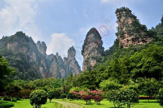完美的张家界自助之旅975 / 作者:杨阳2016 / 帖子ID:172845