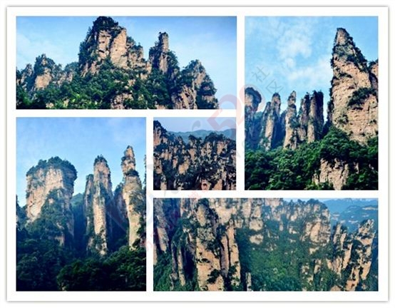 完美的张家界自助之旅255 / 作者:杨阳2016 / 帖子ID:172845