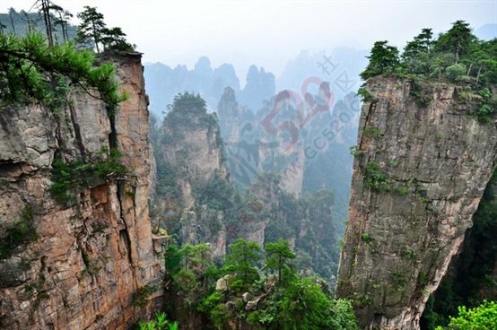 完美的张家界自助之旅94 / 作者:杨阳2016 / 帖子ID:172845