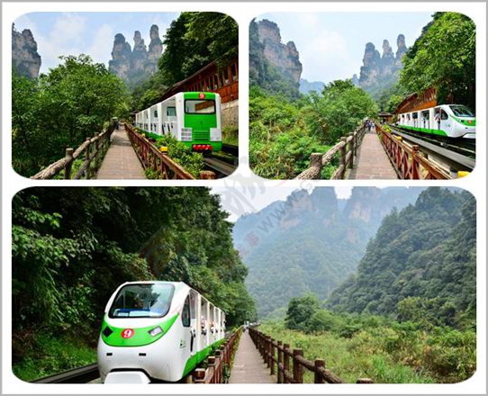 完美的张家界自助之旅823 / 作者:杨阳2016 / 帖子ID:172845