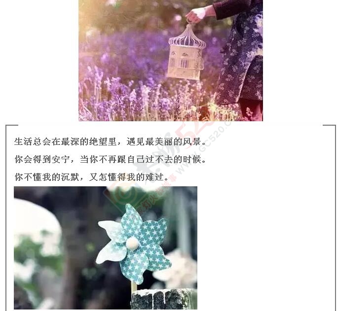 有些路，只能一个人走。。。356 / 作者:罗少爷 / 帖子ID:172877