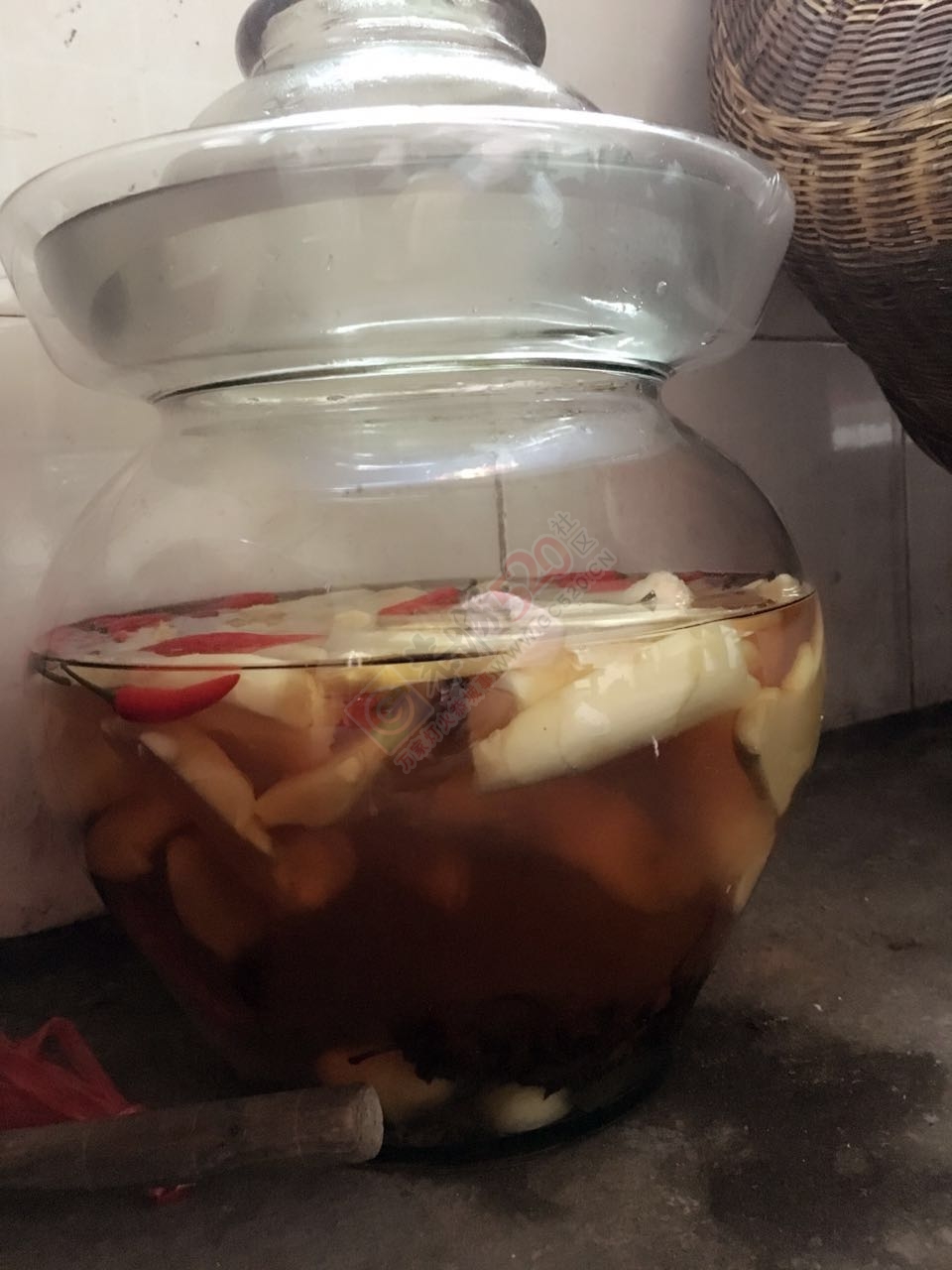 夏天到了 多吃点这个23 / 作者:千变万幻 / 帖子ID:173055