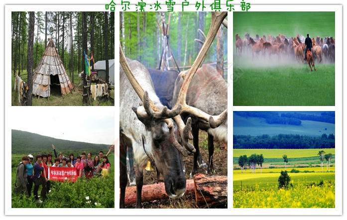 【呼伦贝尔纯玩深度游】2016自驾式深入草原腹地+探秘敖鲁古雅狩鹿部落844 / 作者:冰雪小小 / 帖子ID:173160