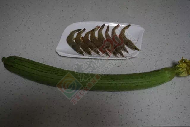 丝瓜别总炒着吃，教你一招最营养的清爽鲜美做法……578 / 作者:登山涉水 / 帖子ID:173464