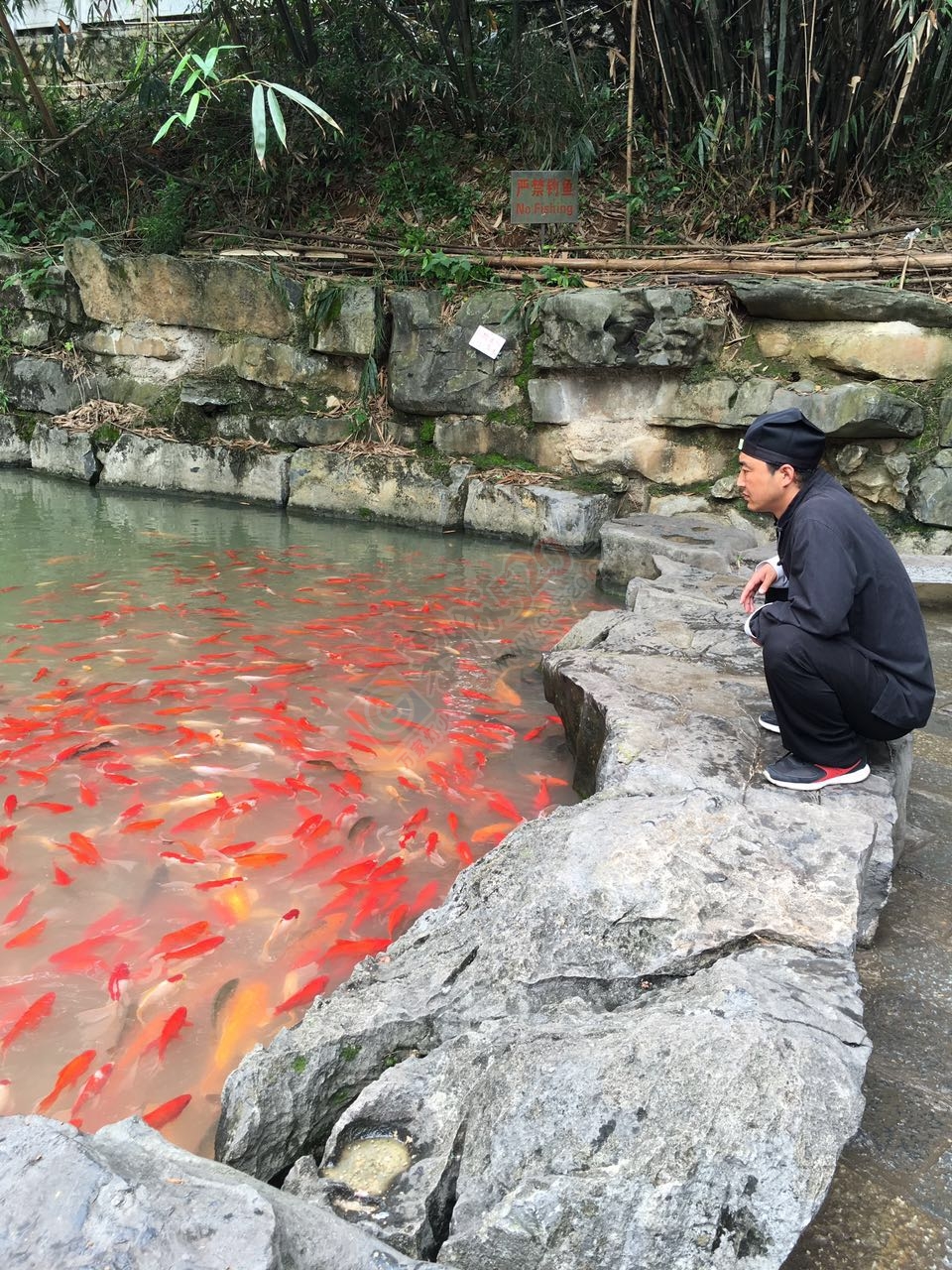 恭城人到荔浦银子岩一游925 / 作者:千变万幻 / 帖子ID:173550