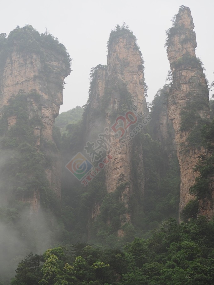 游湘西——我们那段张家界，凤凰古城的旅程分享582 / 作者:周敏敏 / 帖子ID:173699