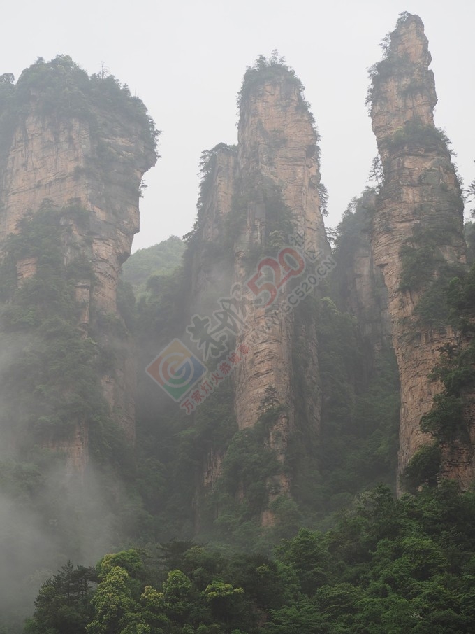 游湘西——我们那段张家界，凤凰古城的旅程分享53 / 作者:周敏敏 / 帖子ID:173699