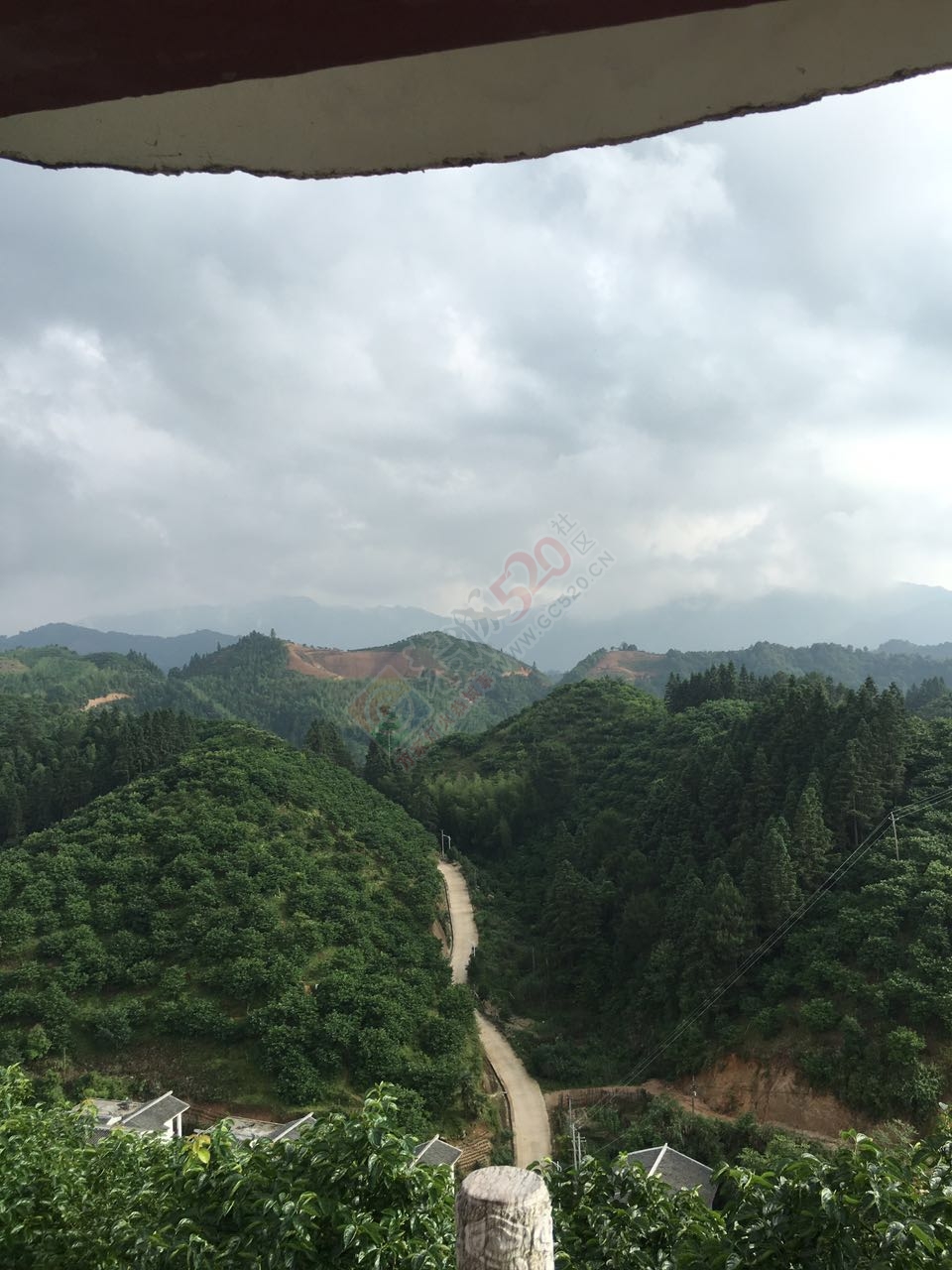 黄竹岗一游768 / 作者:千变万幻 / 帖子ID:173717
