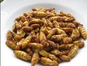 广西人怕过什么？咩都敢食！553 / 作者:jphzy / 帖子ID:173963