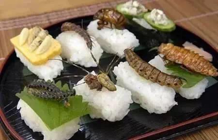 广西人怕过什么？咩都敢食！777 / 作者:jphzy / 帖子ID:173963