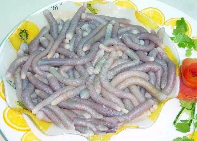 广西人怕过什么？咩都敢食！96 / 作者:jphzy / 帖子ID:173963