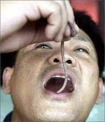 广西人怕过什么？咩都敢食！670 / 作者:jphzy / 帖子ID:173963
