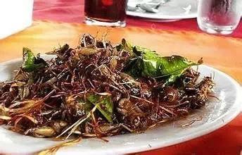 广西人怕过什么？咩都敢食！586 / 作者:jphzy / 帖子ID:173963