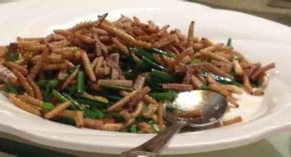 广西人怕过什么？咩都敢食！312 / 作者:jphzy / 帖子ID:173963
