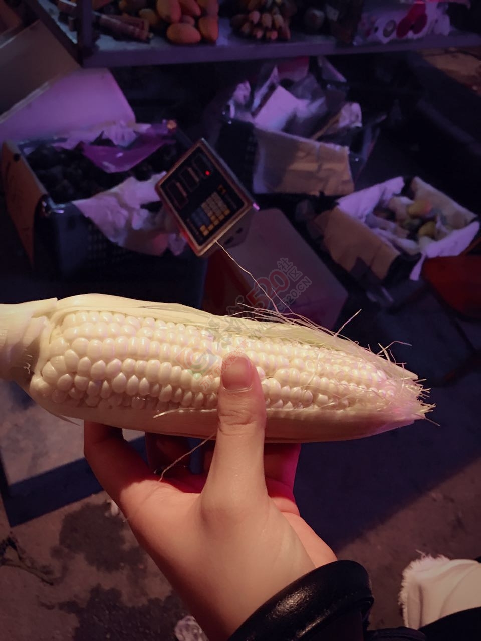 有猫腻639 / 作者:千变万幻 / 帖子ID:174626