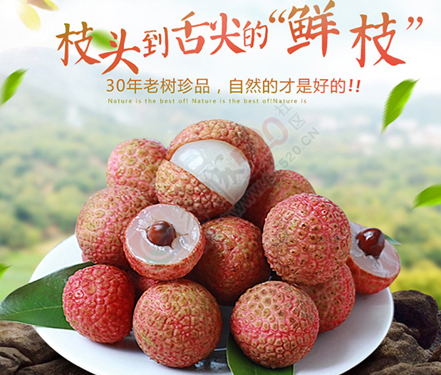 招代理啦！零库存！零风险！晒晒美食就能轻松赚钱182 / 作者:恭城品华 / 帖子ID:174669