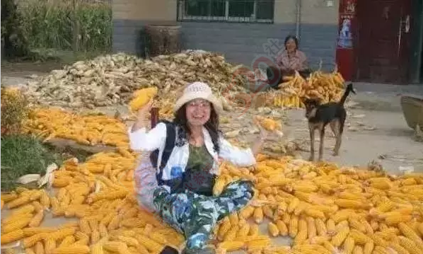 往上数三代，大家都是农村人!恭城人别忘了根！128 / 作者:微观恭城 / 帖子ID:174969
