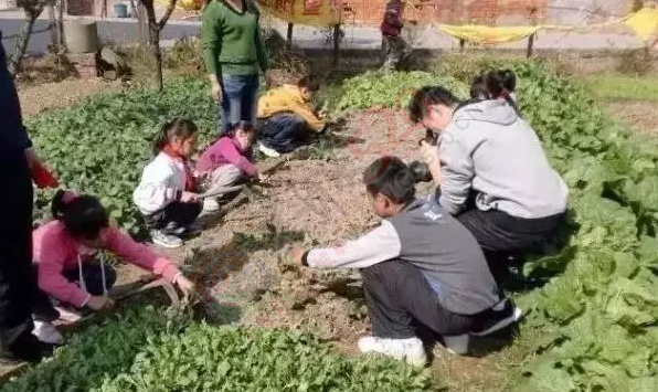 往上数三代，大家都是农村人!恭城人别忘了根！109 / 作者:微观恭城 / 帖子ID:174969