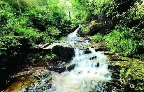 桂林，真的只有漓江可去吗？用事实告诉你，这个夏天恭城有个地方好耍得不得了！790 / 作者:恭城靠大家 / 帖子ID:175176