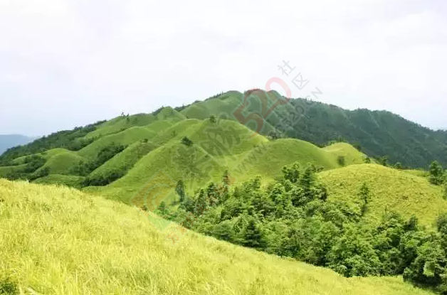 桂林，真的只有漓江可去吗？用事实告诉你，这个夏天恭城有个地方好耍得不得了！463 / 作者:恭城靠大家 / 帖子ID:175176