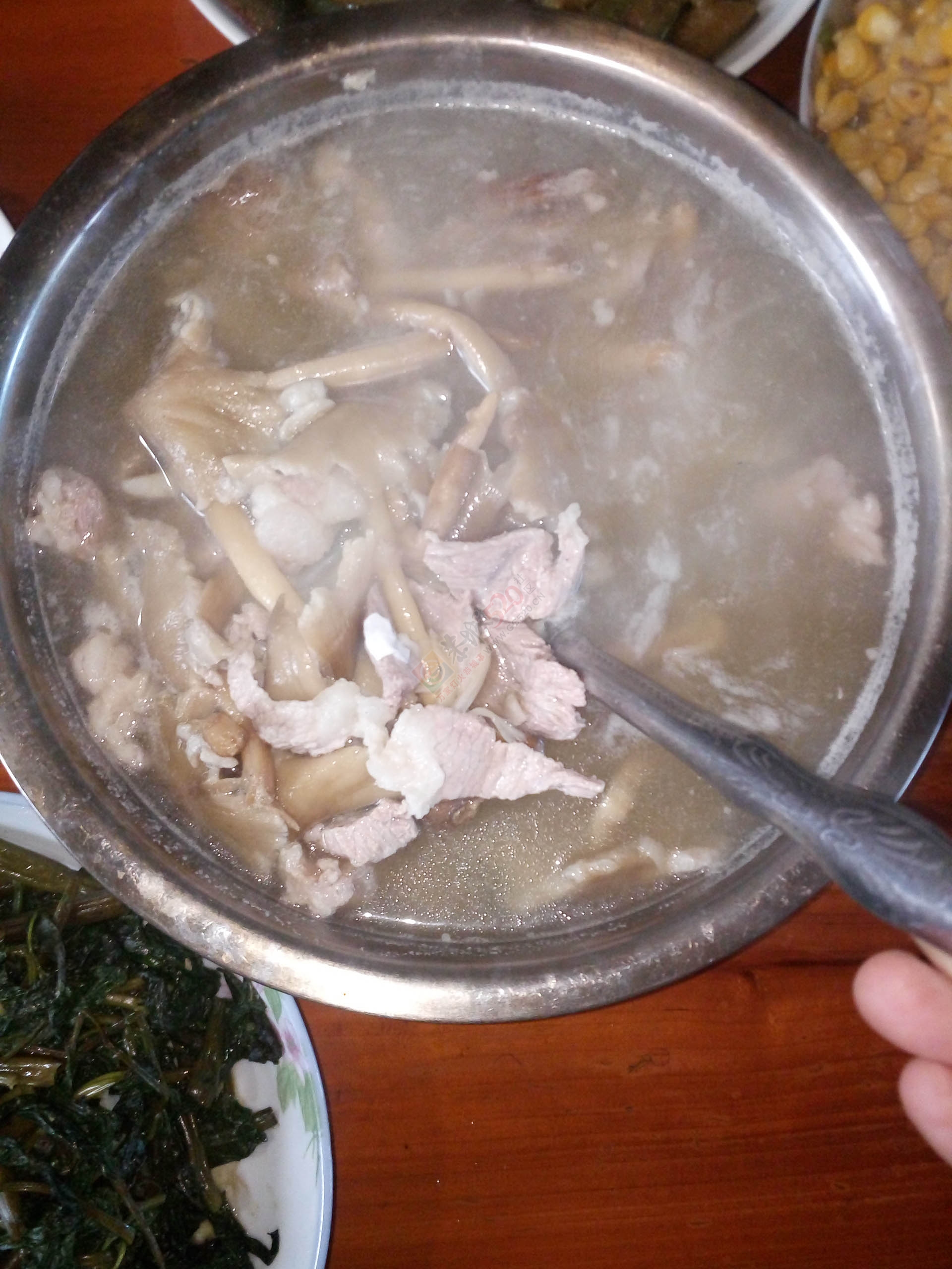 夏至菌啵.有好这口吗？58 / 作者:茶江人 / 帖子ID:175191