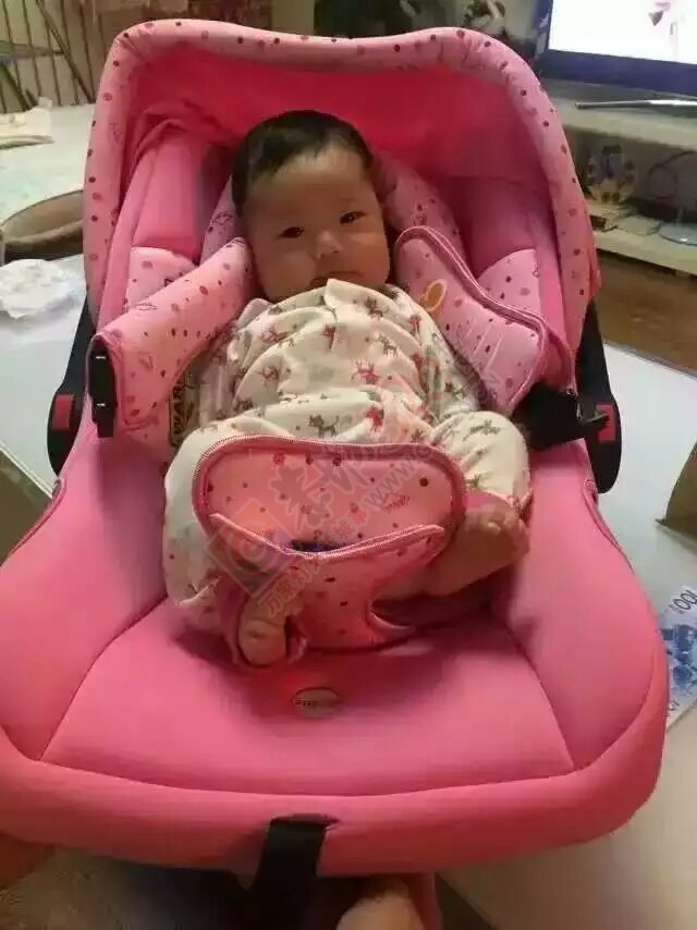 清凉一夏，安全与您“童”行。鸿贝汽车安全座椅383 / 作者:小人物 / 帖子ID:175210