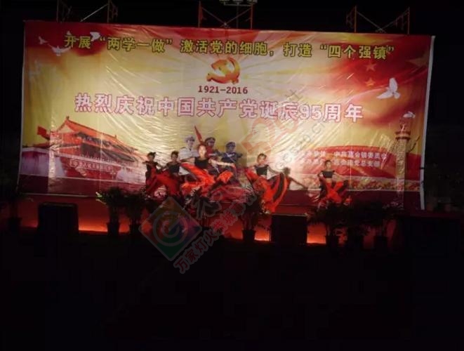 嘉会镇举办“热烈庆祝中国共产党诞辰95周年、......134 / 作者:深秋的落叶 / 帖子ID:175267