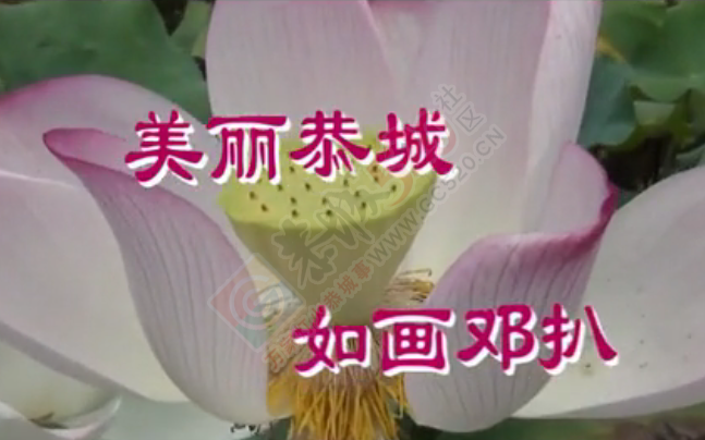 视频：美丽恭城  如画邓扒883 / 作者:恭城盛唐广告 / 帖子ID:175488