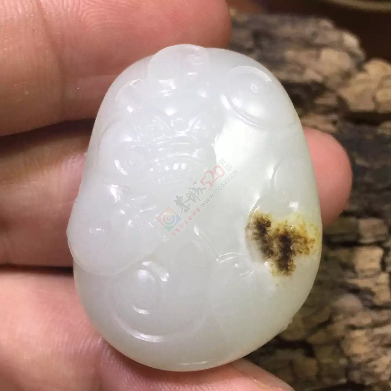 新疆和田羊脂玉籽料貔貅555 / 作者:错了_Zfm79 / 帖子ID:175755