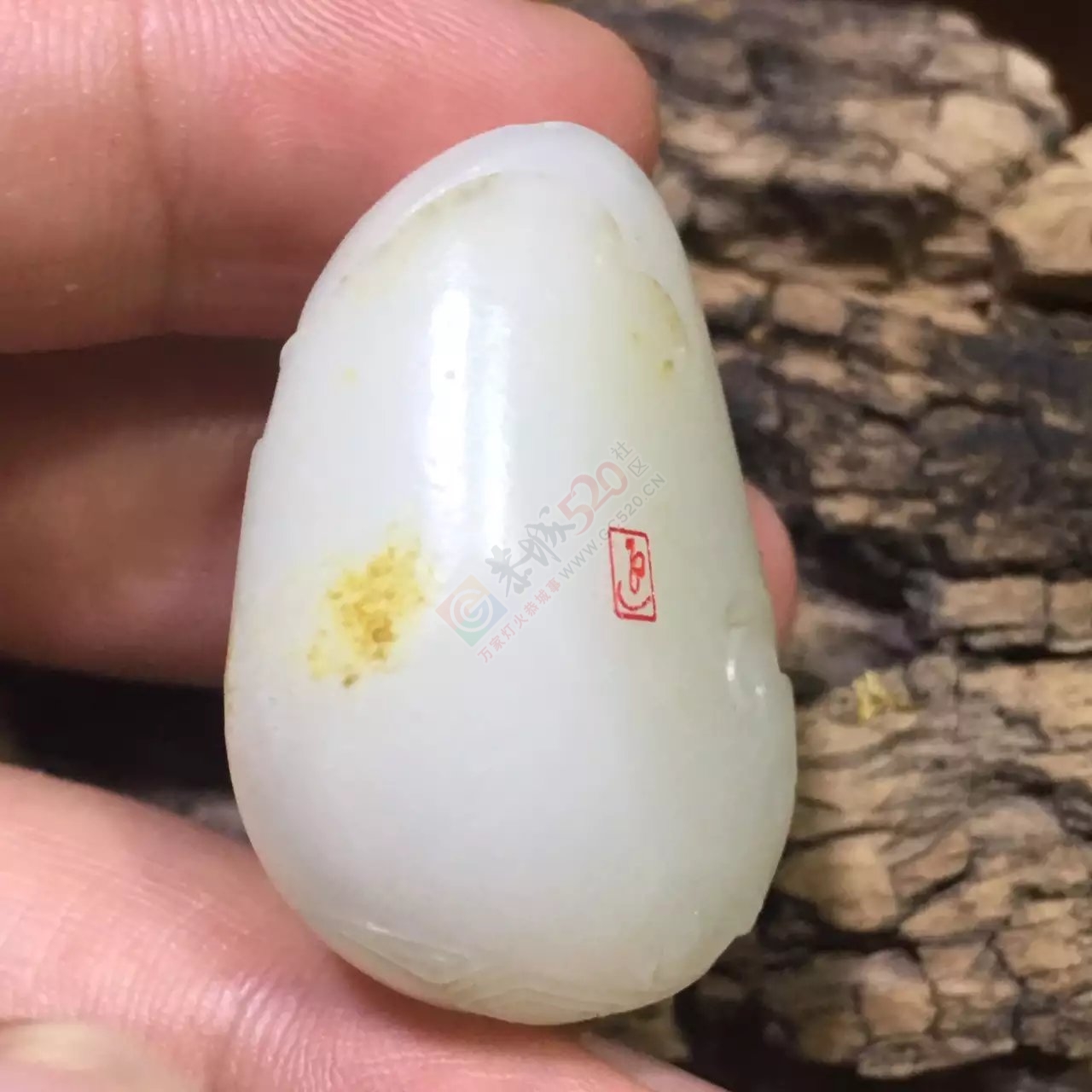 新疆和田羊脂玉籽料貔貅577 / 作者:错了_Zfm79 / 帖子ID:175755