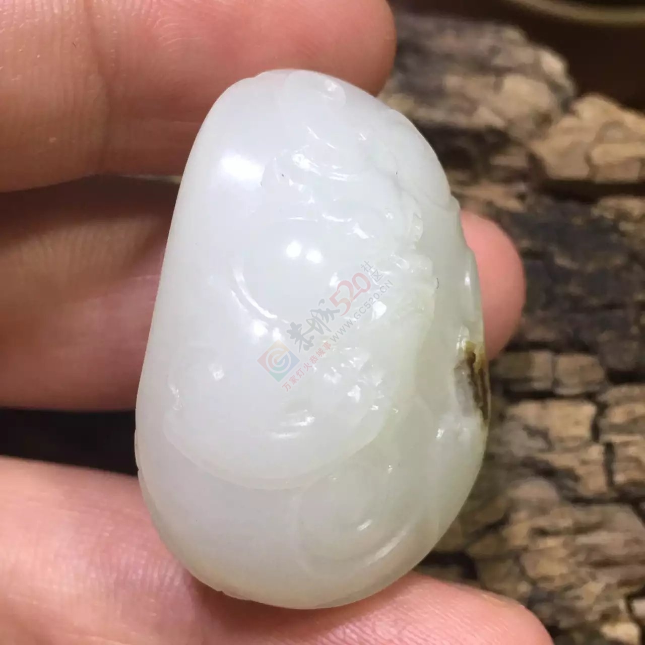 新疆和田羊脂玉籽料貔貅68 / 作者:错了_Zfm79 / 帖子ID:175755