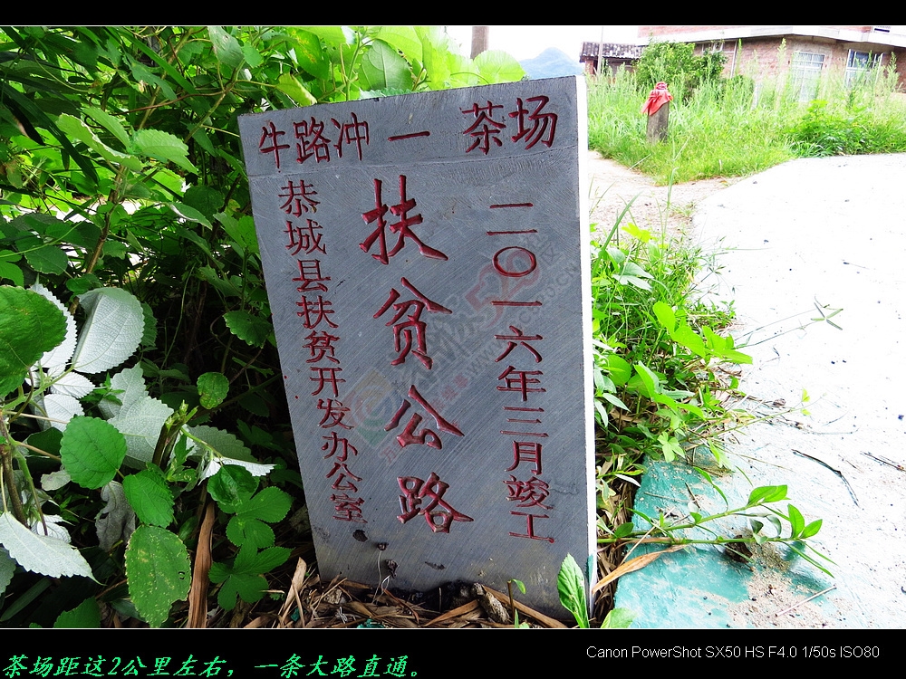 遊恭城自行车骑行绿道。811 / 作者:平安大叔 / 帖子ID:175899