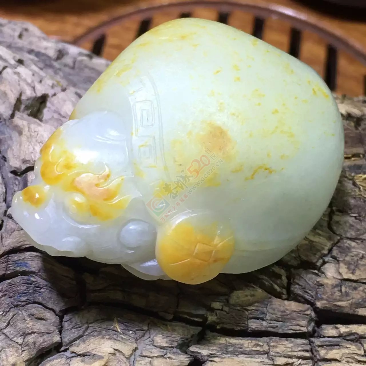 新疆和田玉籽料龙龟537 / 作者:错了_Zfm79 / 帖子ID:176168
