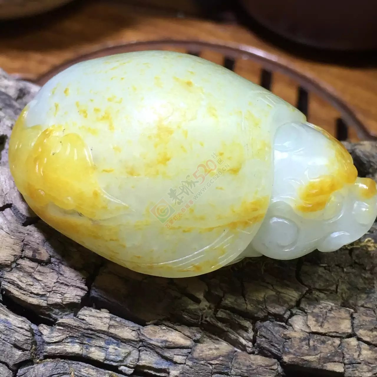 新疆和田玉籽料龙龟995 / 作者:错了_Zfm79 / 帖子ID:176168