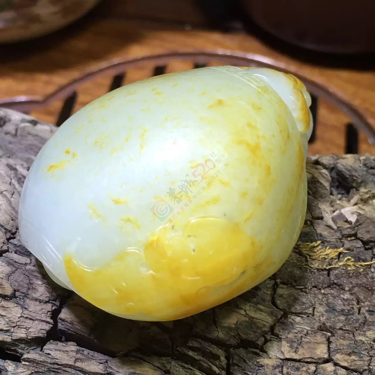 新疆和田玉籽料龙龟596 / 作者:错了_Zfm79 / 帖子ID:176168