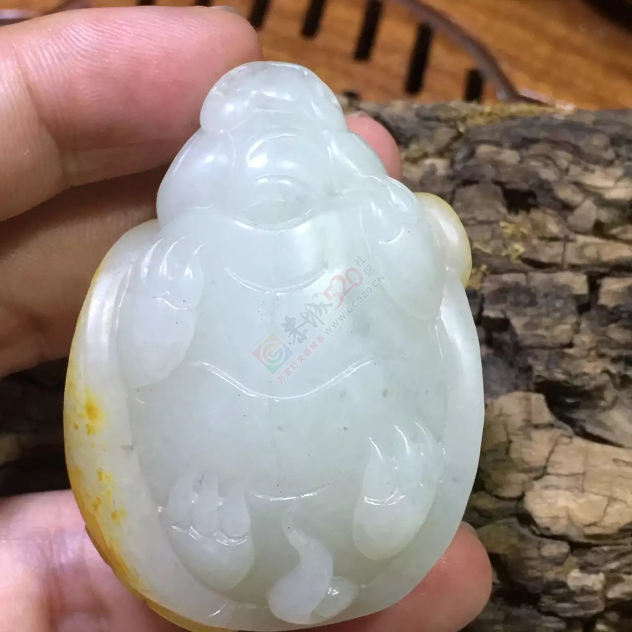 新疆和田玉籽料龙龟236 / 作者:错了_Zfm79 / 帖子ID:176168