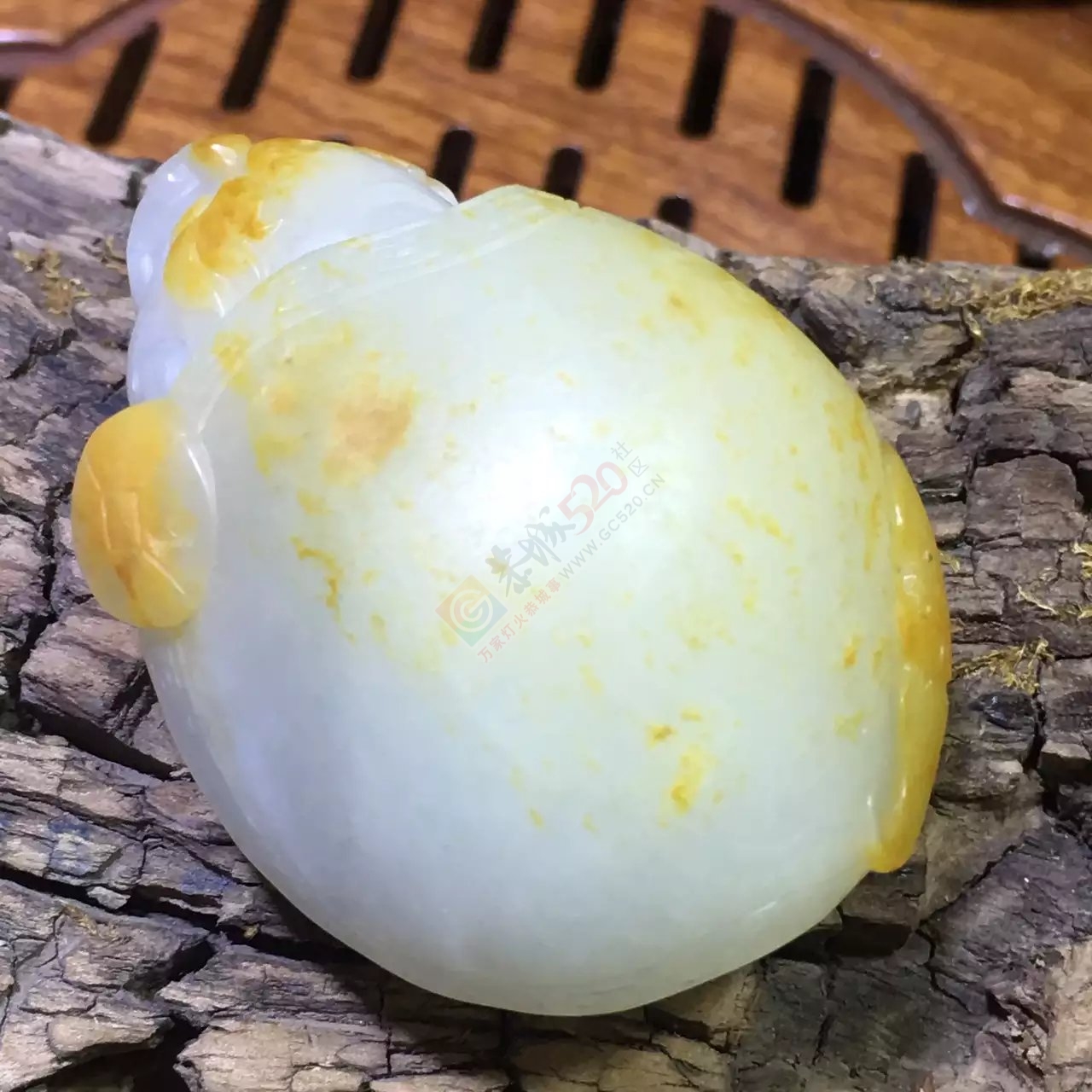 新疆和田玉籽料龙龟409 / 作者:错了_Zfm79 / 帖子ID:176168