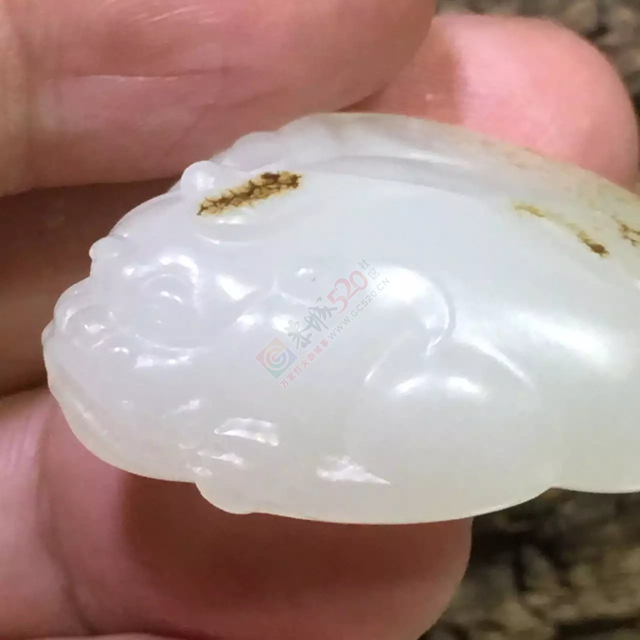新疆和田羊脂玉独籽貔貅221 / 作者:错了_Zfm79 / 帖子ID:176204