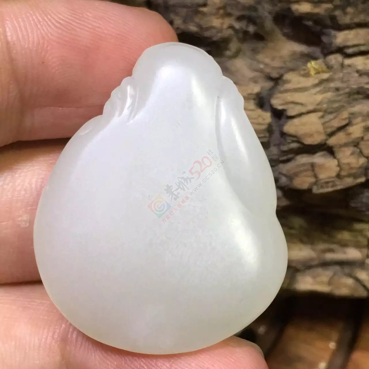 新疆和田羊脂玉独籽貔貅639 / 作者:错了_Zfm79 / 帖子ID:176204