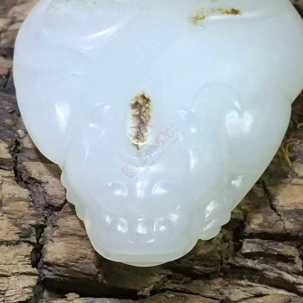 新疆和田羊脂玉独籽貔貅250 / 作者:错了_Zfm79 / 帖子ID:176212