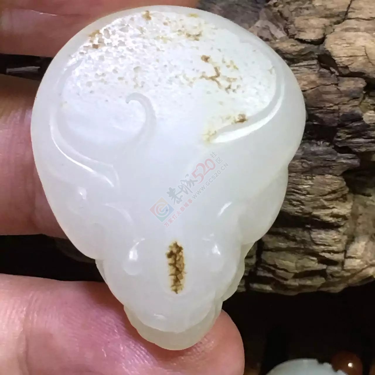 新疆和田羊脂玉独籽貔貅192 / 作者:错了_Zfm79 / 帖子ID:176212