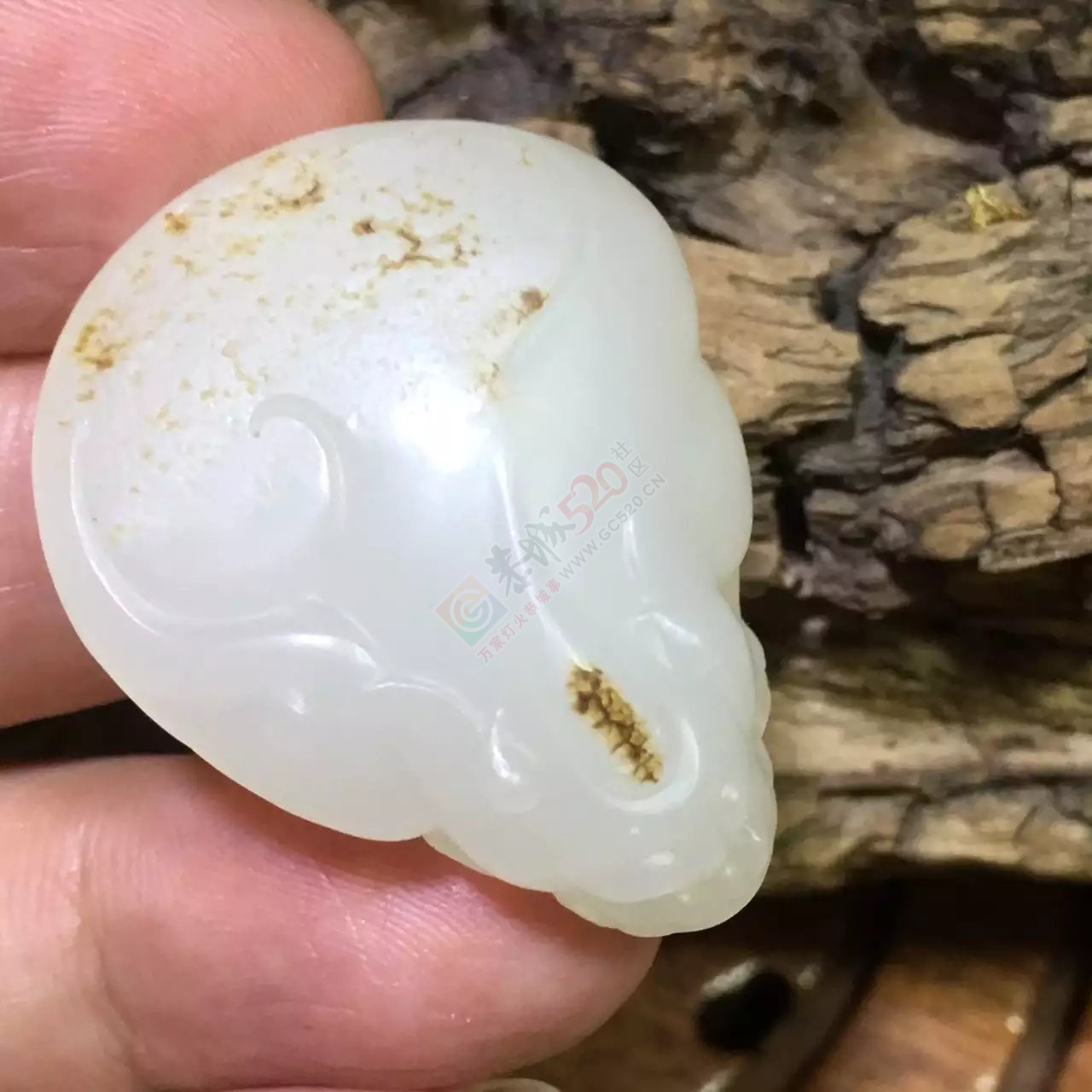 新疆和田羊脂玉独籽貔貅97 / 作者:错了_Zfm79 / 帖子ID:176212