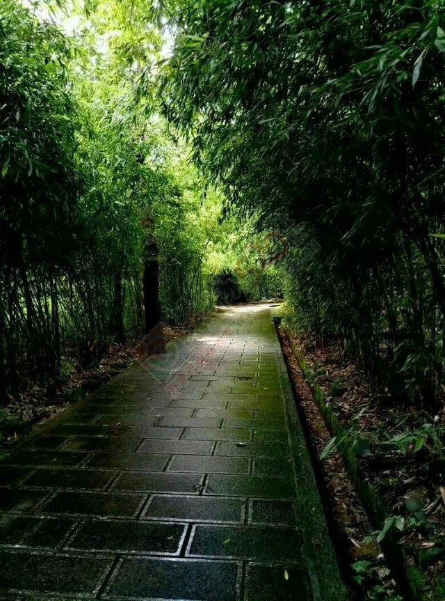 时隔两年  再入云南771 / 作者:408619418 / 帖子ID:176217